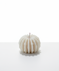 Pumpkin Candle