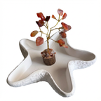 Red Carnelian Tree (Motivation, creativity & confidence)