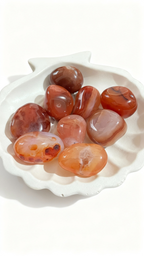 Carnelian Stones ( 105 gms)