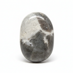 Cats Eye Palm Stone White Background