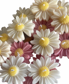 Daisy Flower