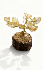 Citrine Crystal Tree (Growth and abundance)