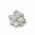 Botanical cluster organic floral soy candle - white background studio shot - Just Natural Purity