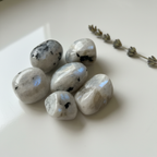 Rainbow Moonstone Tumble (1 pc)