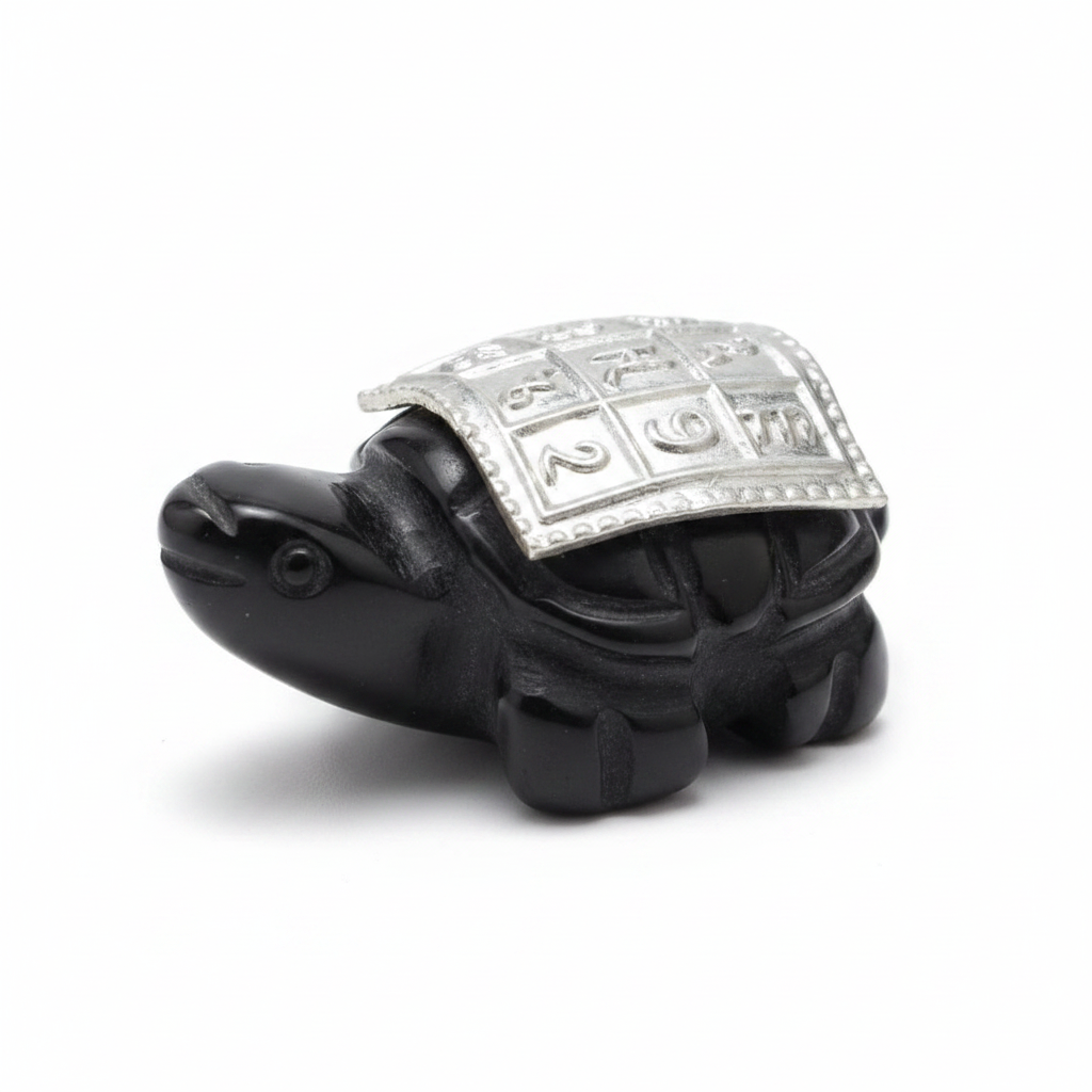 Tortoise with Yantra