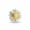 Daisy flower shaped soy candle - white background studio shot - Just Natural Purity