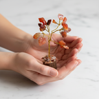 Red Carnelian Tree (Motivation, creativity & confidence)