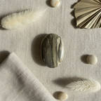 Petrified Wood Oval Flat Lay