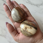 Petrified Wood Palm Stone Hand Shot
