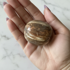 Petrified Wood Palm Stone Hand Shot
