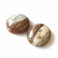 Petrified Wood Palm Stone White Background