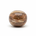Petrified Wood Palm Stone White Background