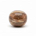 Petrified Wood Palm Stone White Background