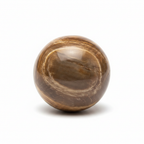 Petrified Wood Sphere White Background