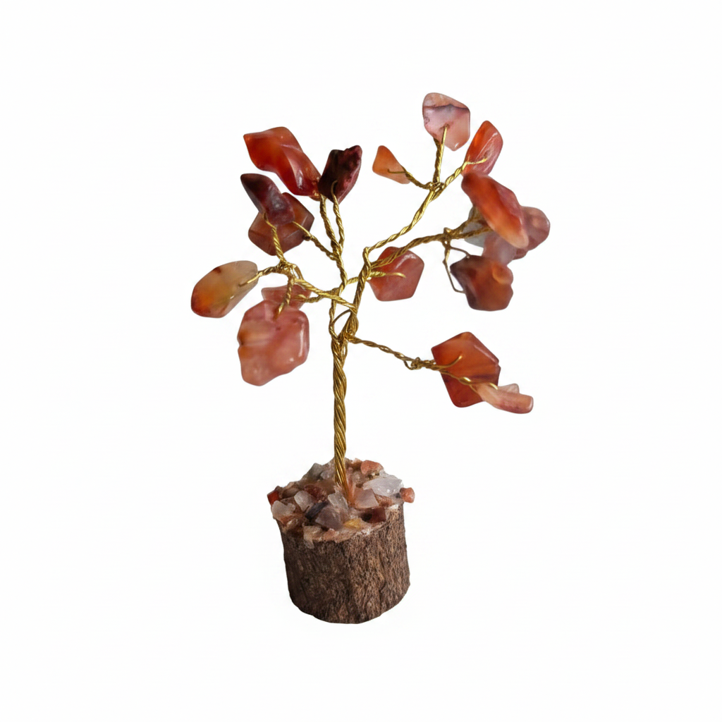 Red Carnelian Tree (Motivation, creativity & confidence)