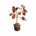 Red Carnelian Tree (Motivation, creativity & confidence)