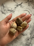 Petrified Wood Tumble (1 pc)